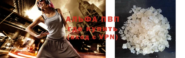 индика Белоозёрский