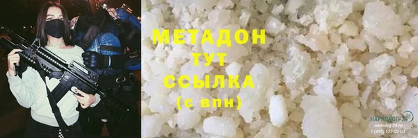 спиды Богданович