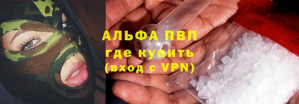 индика Белоозёрский