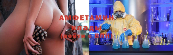 спиды Богданович