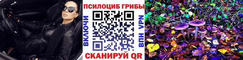 Галлюциногенные грибы мицелий  omg как войти  Светлый 